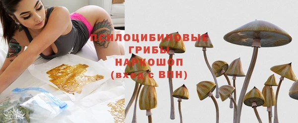не бодяженный Арсеньев