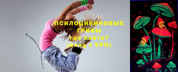 PSILOCYBIN Армянск