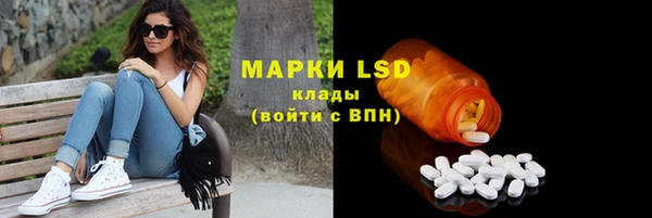 PSILOCYBIN Армянск