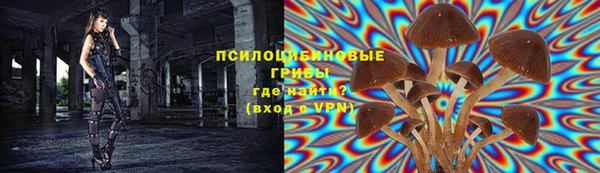 PSILOCYBIN Армянск