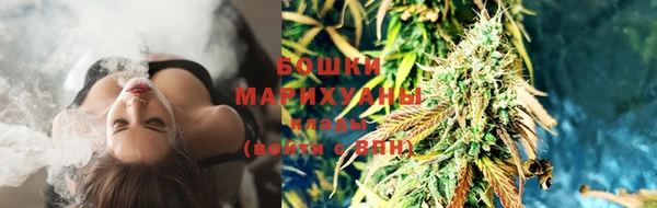 не бодяженный Арсеньев